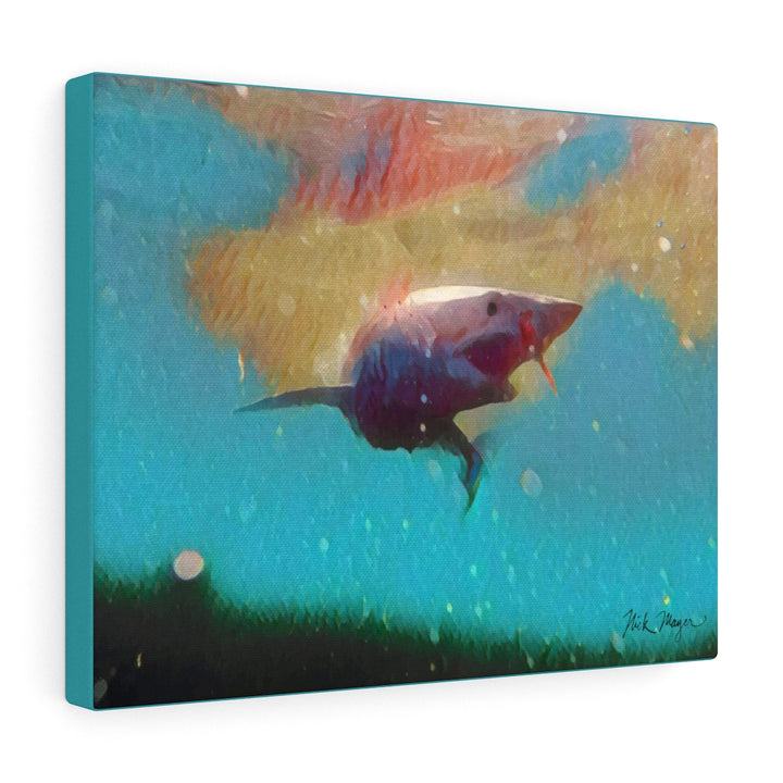 Translation missing: en.Mako Shark, Canvas Gallery Wrap, Turquoise