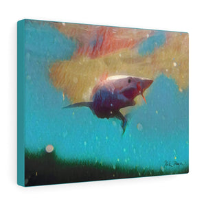 Mako Shark, Canvas Gallery Wrap, Turquoise