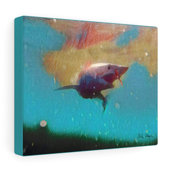 Translation missing: en.Mako Shark, Canvas Gallery Wrap, Turquoise
