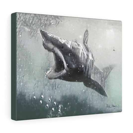 Translation missing: en.Mako Shark, Canvas Gallery Wrap, Monochrome