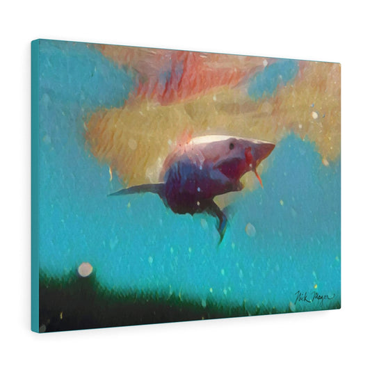 Translation missing: en.Mako Shark, Canvas Gallery Wrap, Turquoise