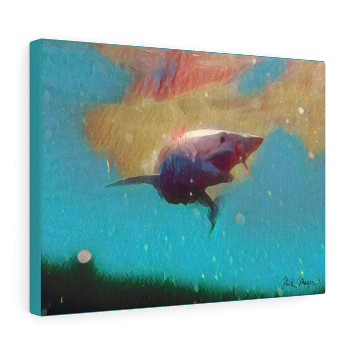 Translation missing: en.Mako Shark, Canvas Gallery Wrap, Turquoise