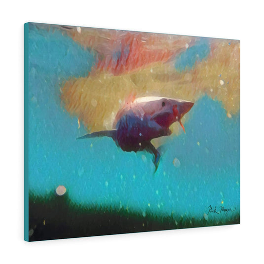 Translation missing: en.Mako Shark, Canvas Gallery Wrap, Turquoise