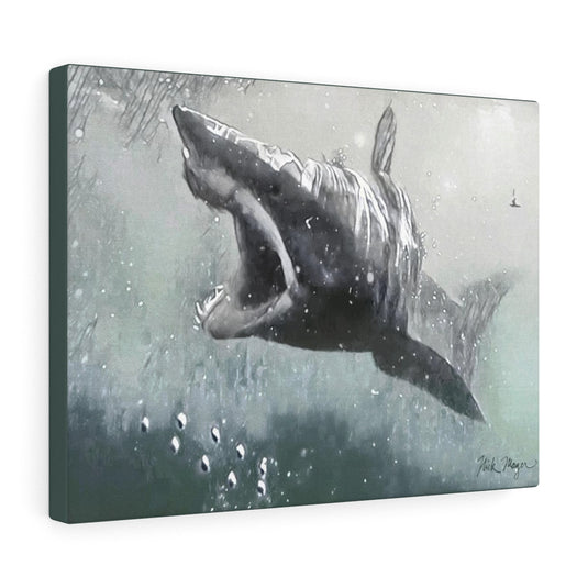 Translation missing: en.Mako Shark, Canvas Gallery Wrap, Monochrome