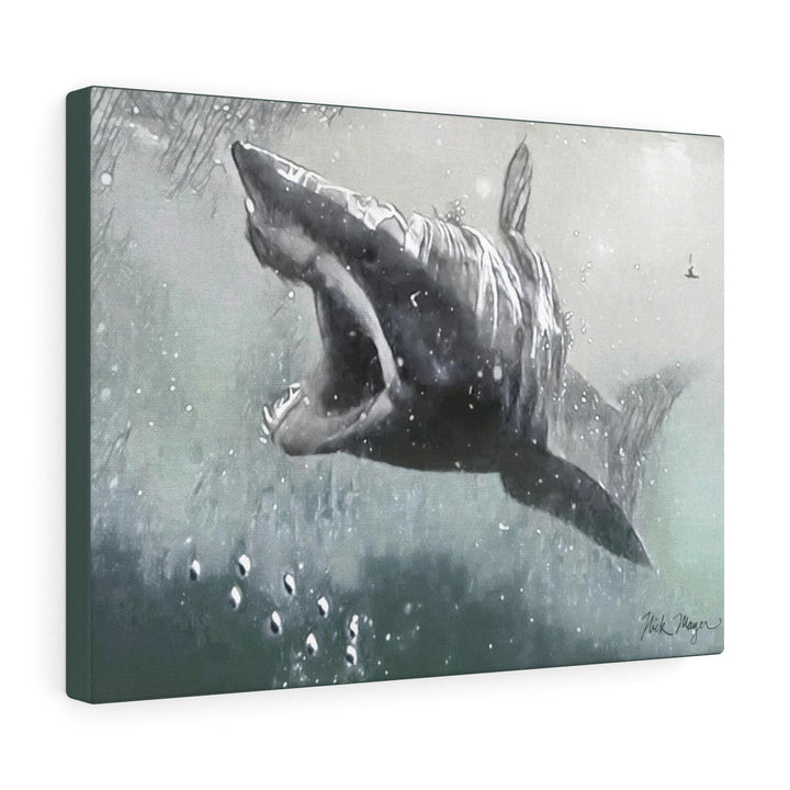 Translation missing: en.Mako Shark, Canvas Gallery Wrap, Monochrome