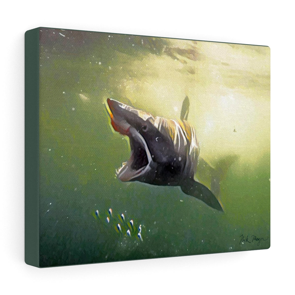 Canvas Gallery Wraps