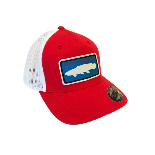 Translation missing: en.Red Bowfin Patch Snapback