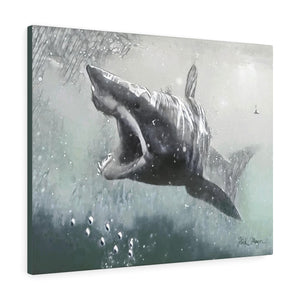 Mako Shark, Canvas Gallery Wrap, Monochrome
