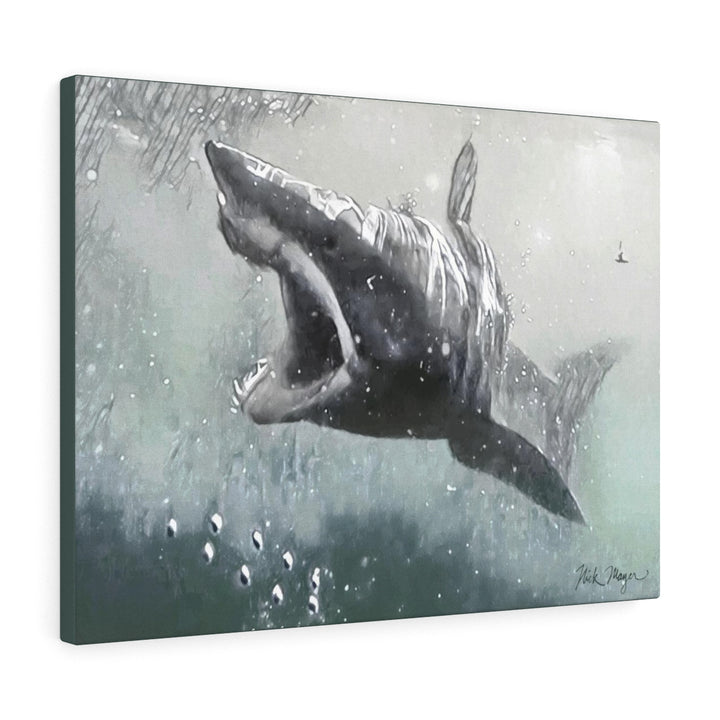 Translation missing: en.Mako Shark, Canvas Gallery Wrap, Monochrome